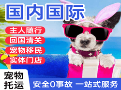 北海机场快递国际宠物托运 【国